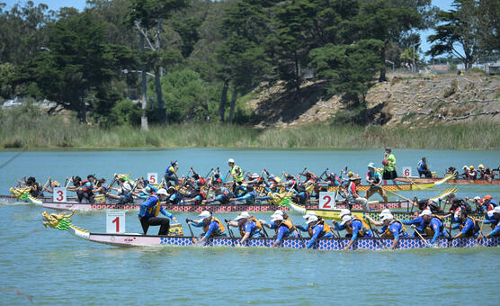 Dragon boat festival - lake merced